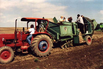 Kartoffelvollerntemaschine der KET (ehemals Weimar-Werk)