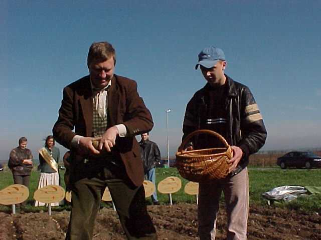 Der Direktor der Kunstsammlungen zu Weimar Prof. Rolf Bothe legt die Sorte Baltica